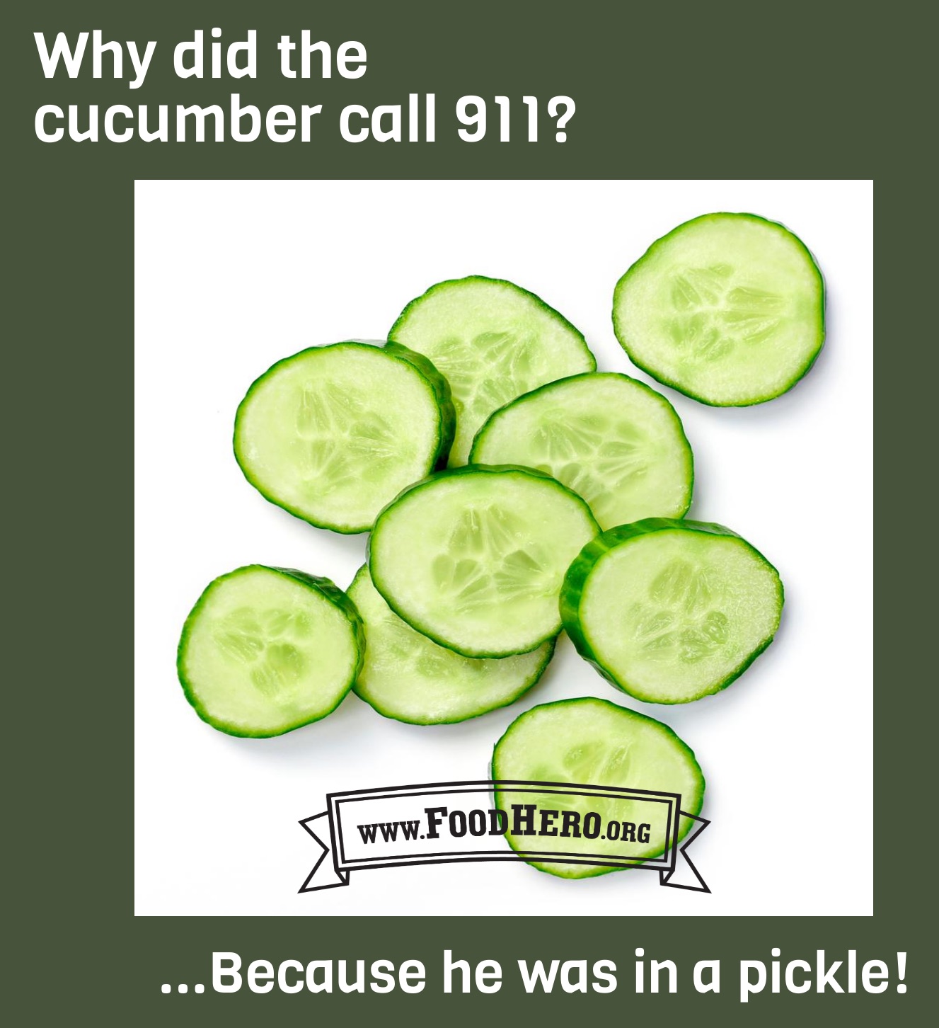 Cucumber Food Hero Educational Resources